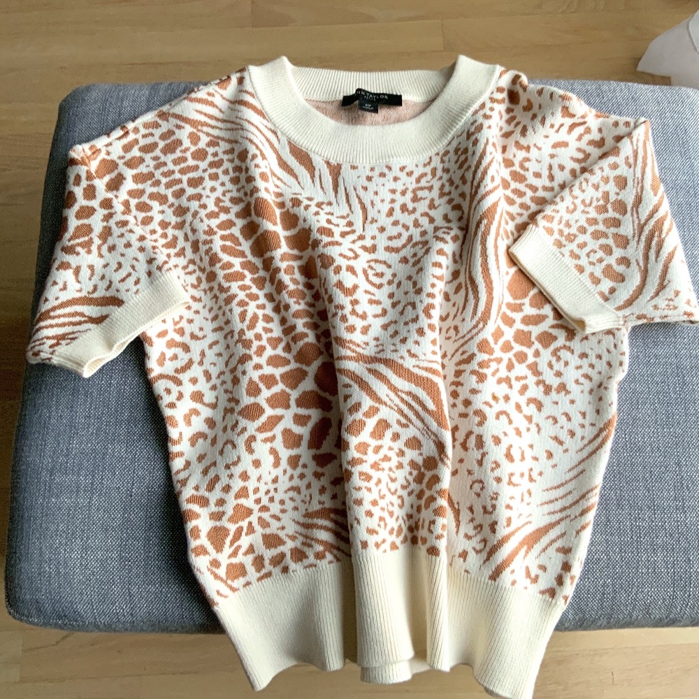 Short Sleeves Knitted Top